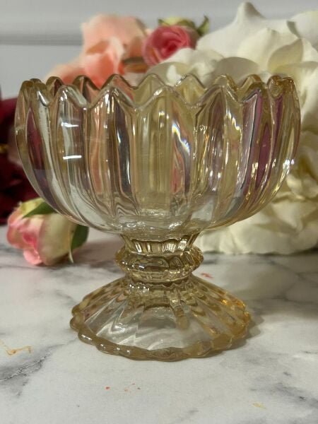 ISO BAL RENK 6 'LI DONDURMA KASESİ