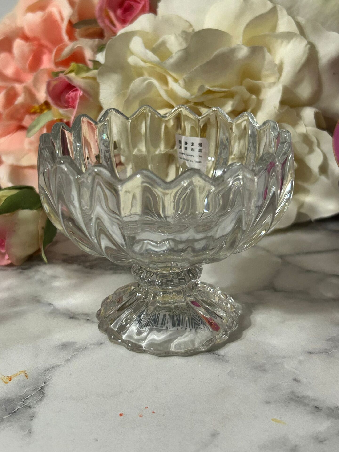 ISO ŞEFFAF 6 'LI DONDURMA KASESİ