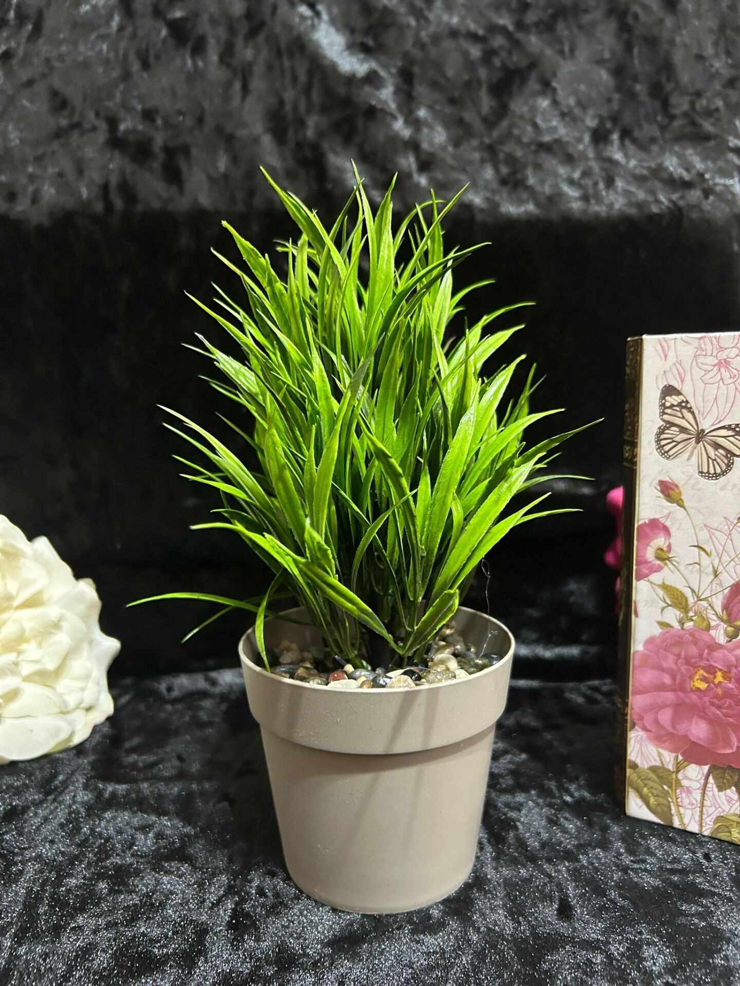 YENİ SAZLI ÇİÇEK