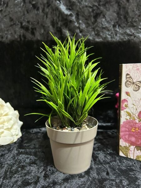 YENİ SAZLI ÇİÇEK