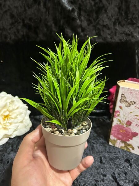 YENİ SAZLI ÇİÇEK