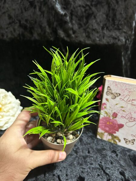 YENİ SAZLI ÇİÇEK