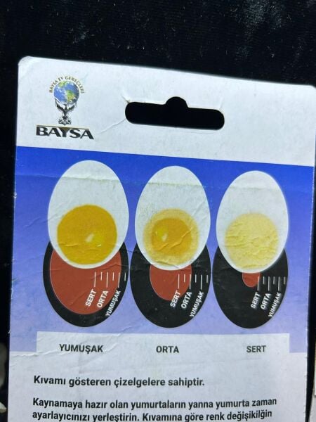 BYS YUMURTA DUBLÖRÜ