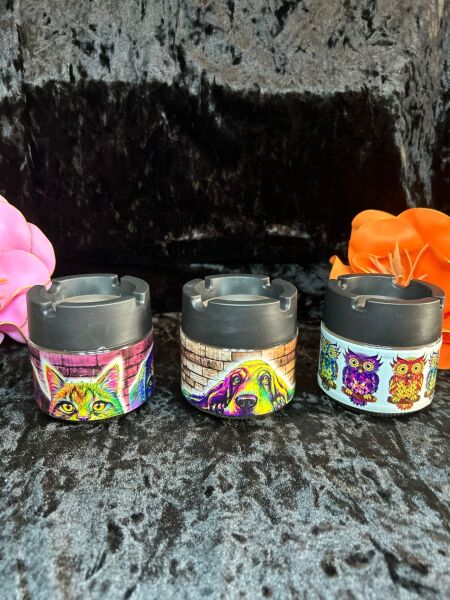 PAXA KOKUSUZ KÜLLÜK DESENLİ CAM